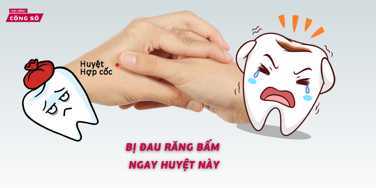 BỊ ĐAU RĂNG BẤM NGAY HUYỆT NÀY 